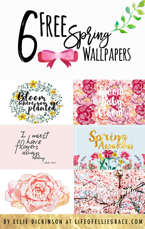 6 Free Spring & Floral Desktop + Phone Wallpapers — Life of Ellie Grace |  Manchester, UK Beauty, Lifestyle and Fashion Blog