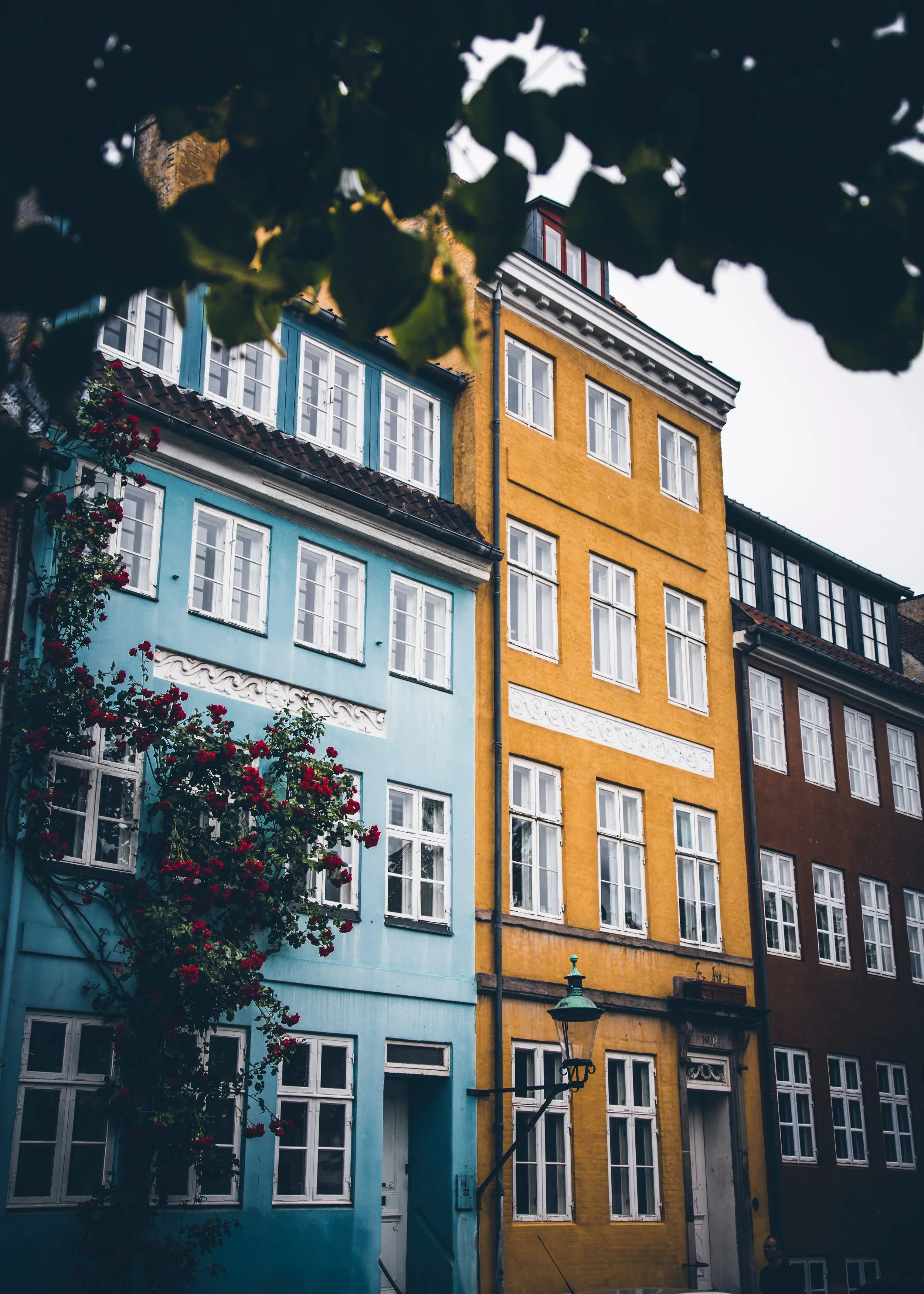 Studying in London: Halls vs House Shares