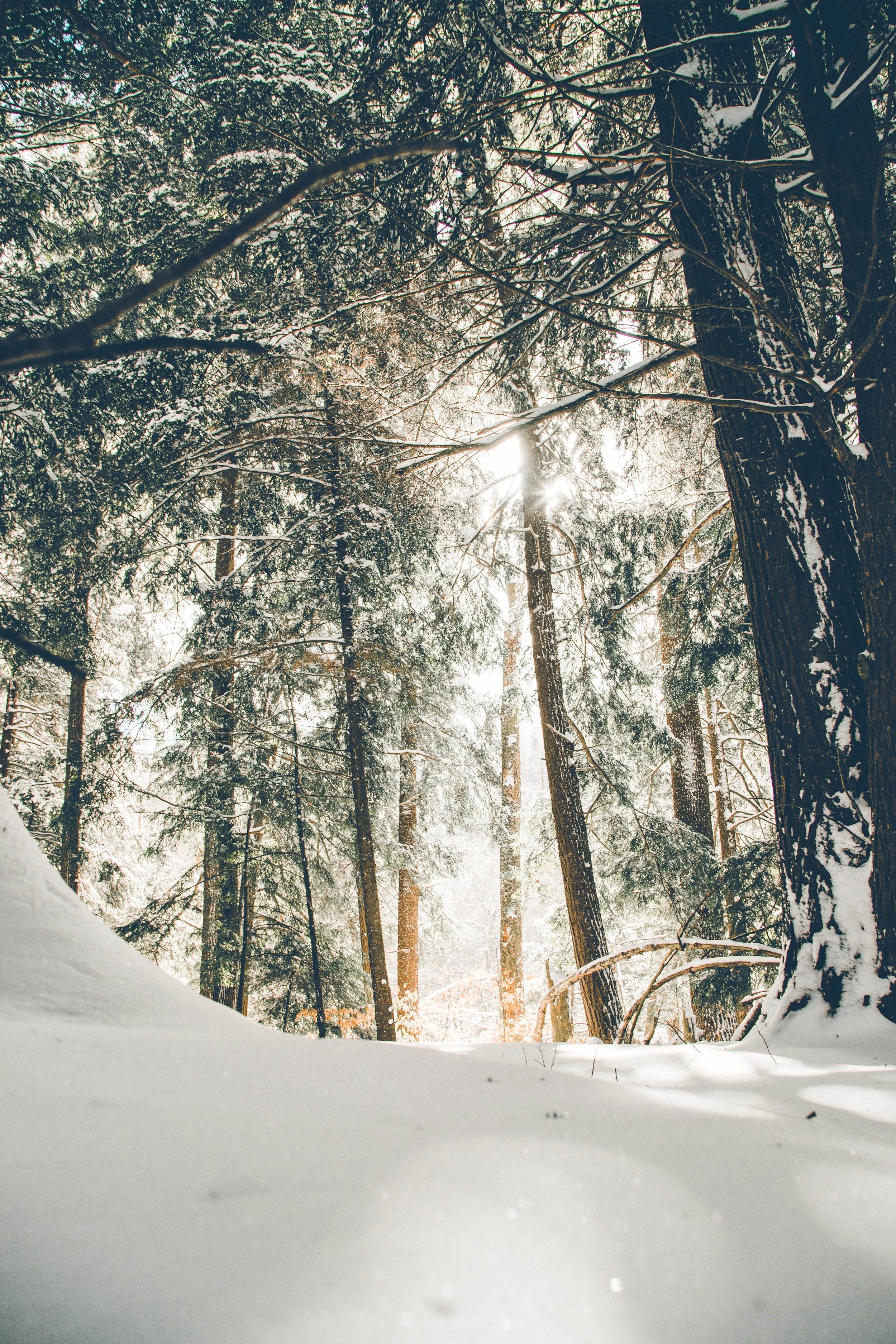Beating the Winter Blues – your quick start guide
