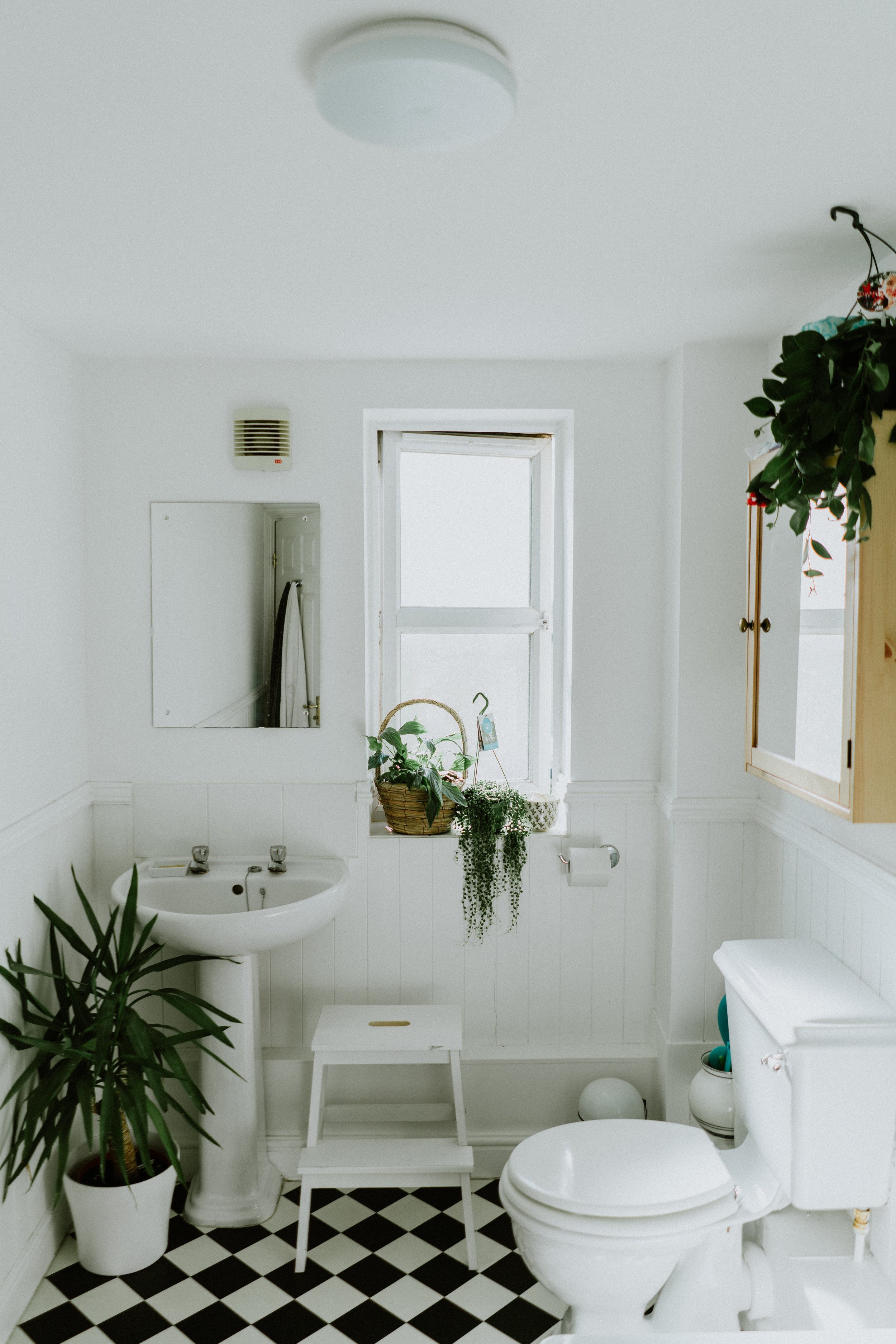 3 Affordable Ways to Switch Up Your Bathroom Aesthetic  