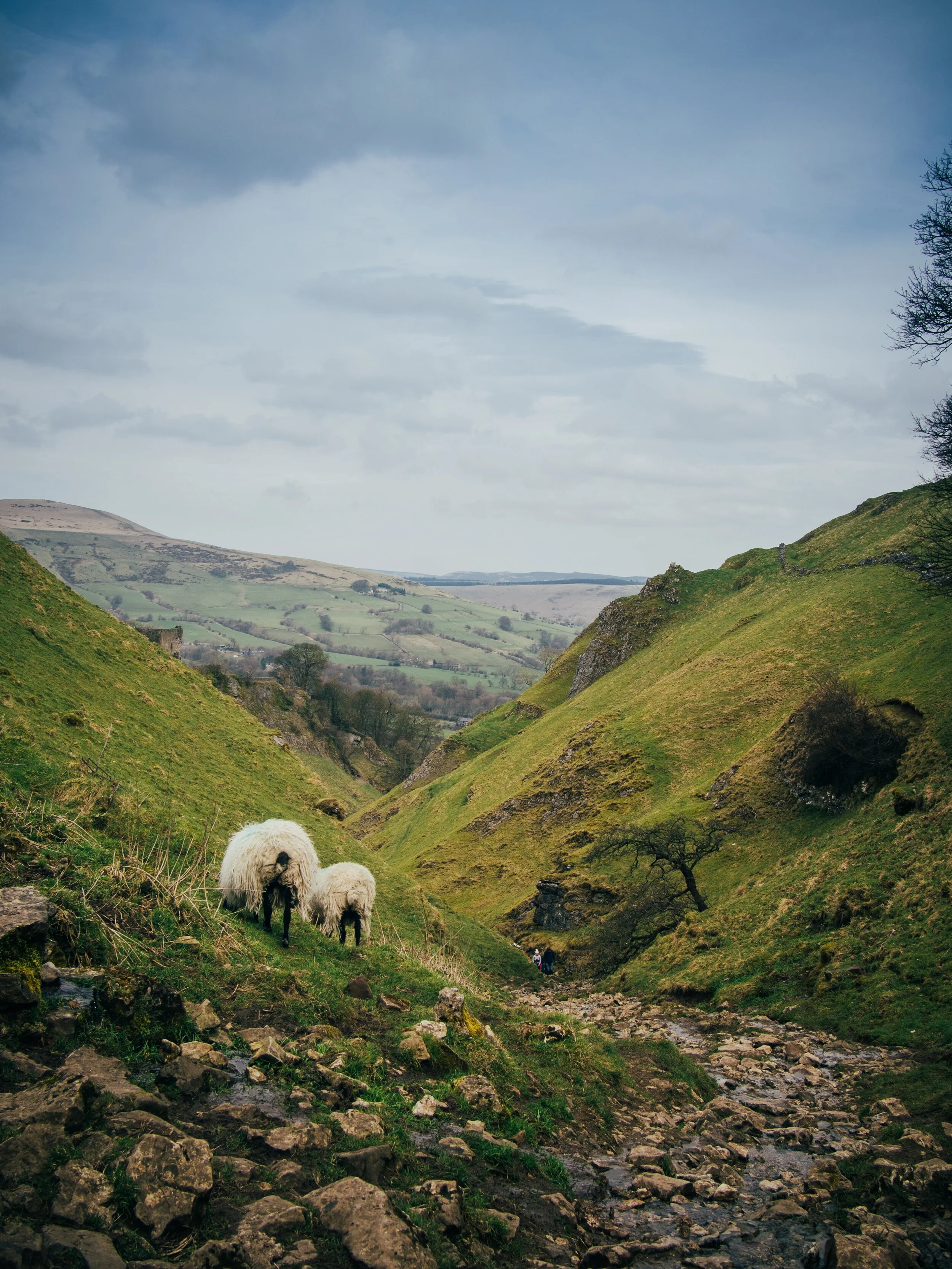 Dating in Derbyshire