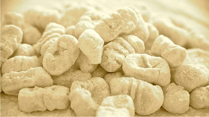 Handmade gnocchi
