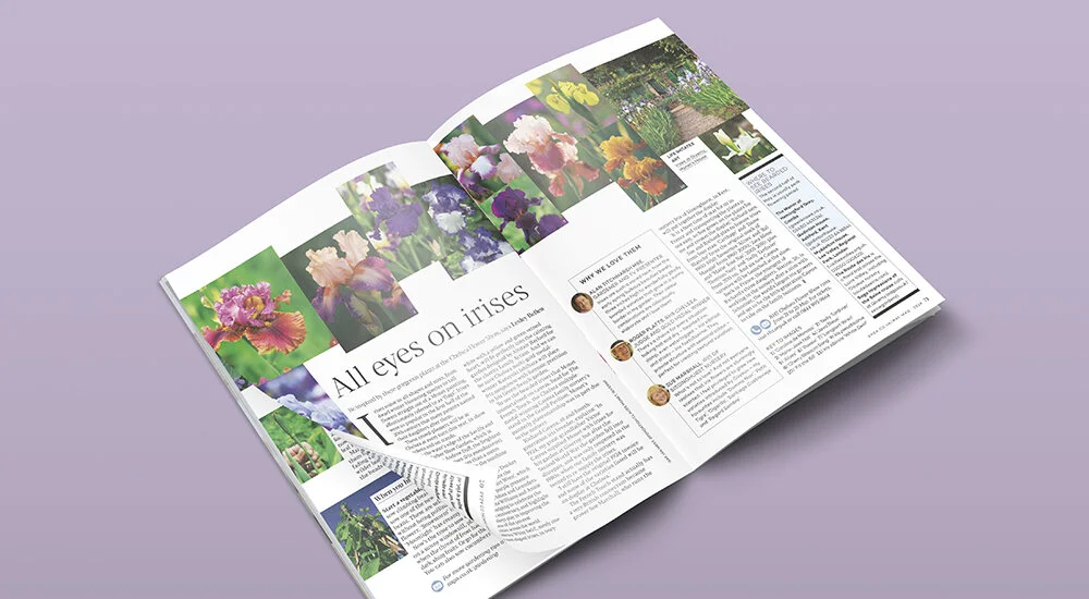 GARDENS_SAGA_MAG.jpg