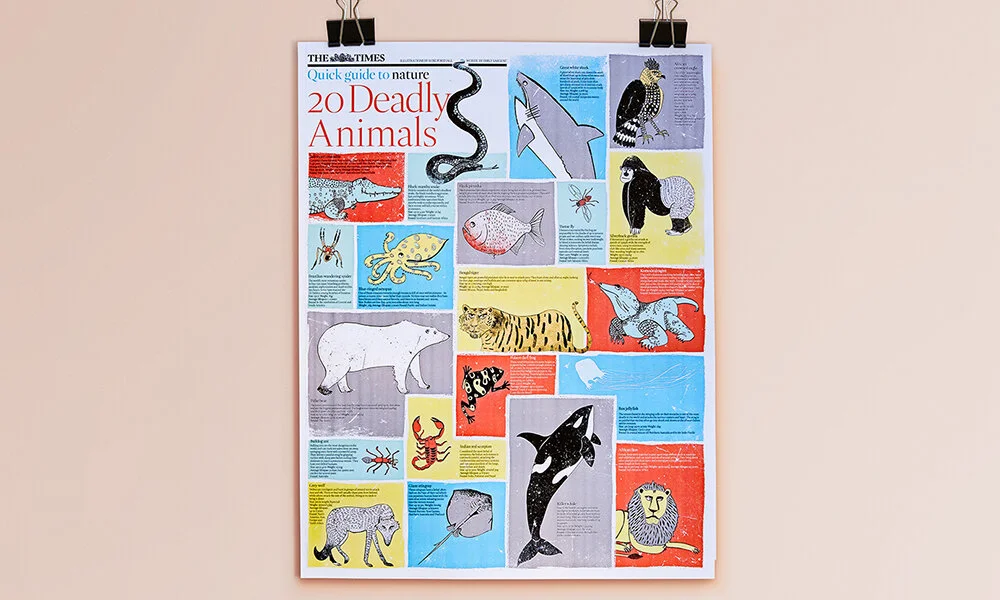 POSTERS & SPECIALS
