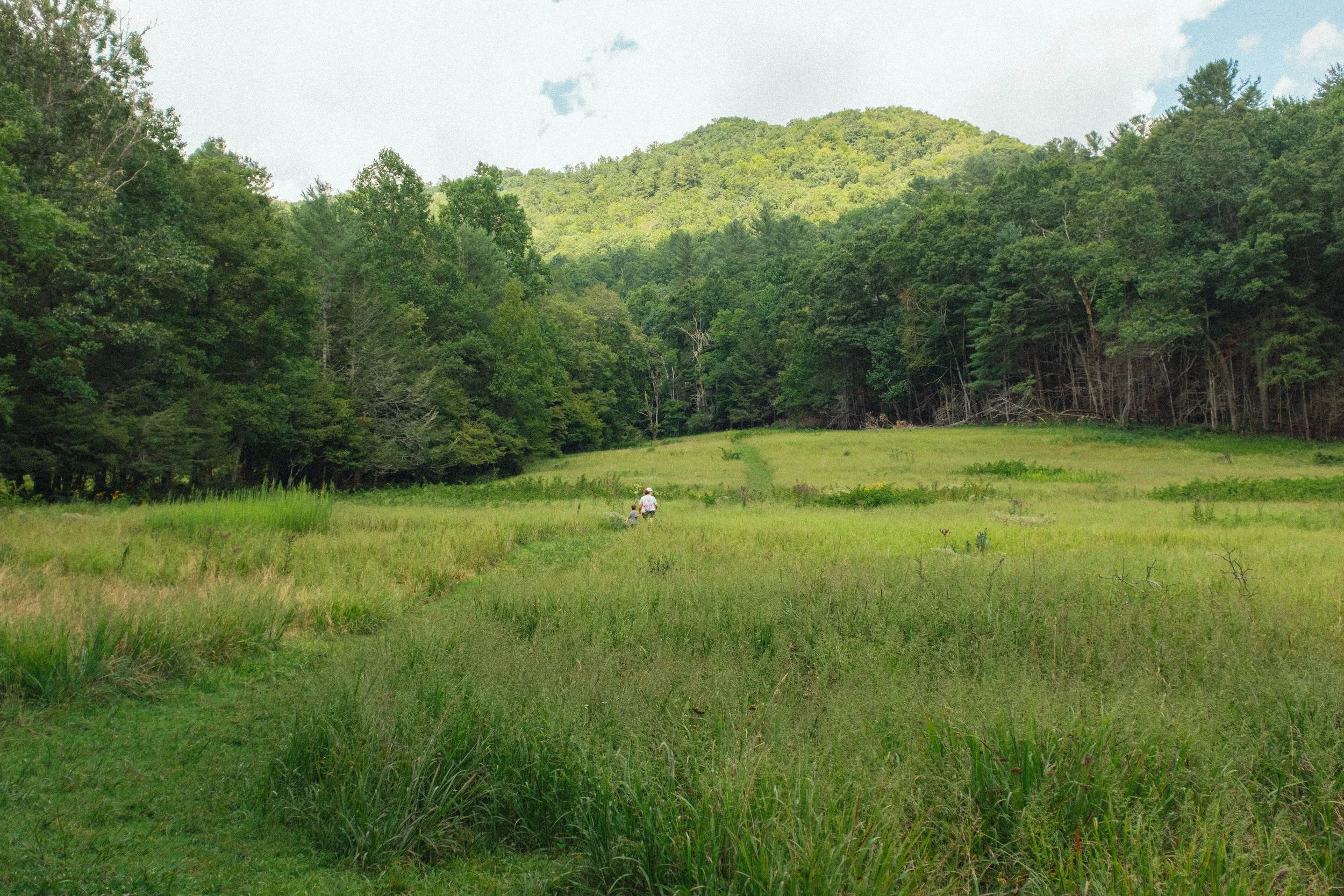 Bryson City - August 2025-8.jpg