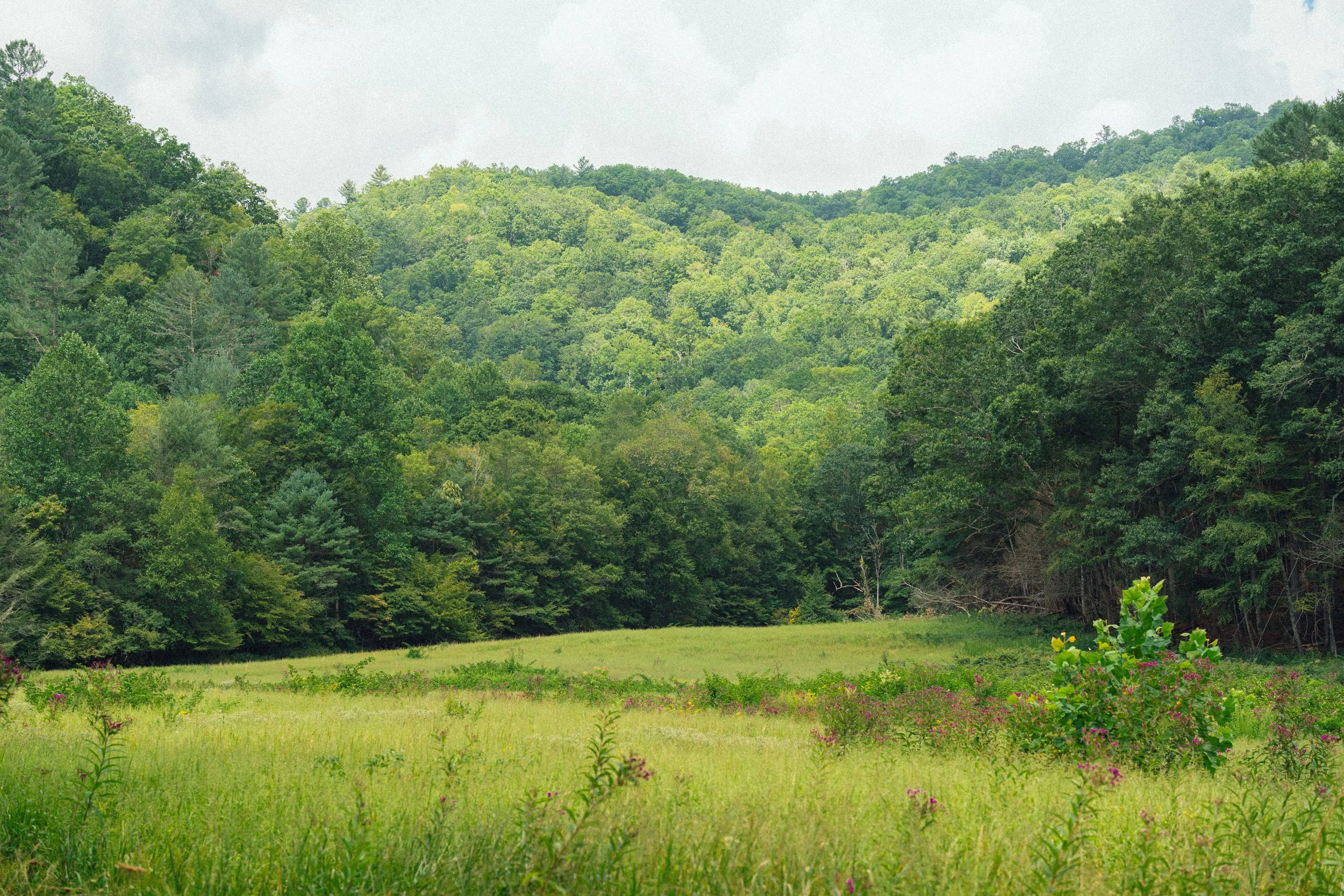 Bryson City - August 2025-17.jpg