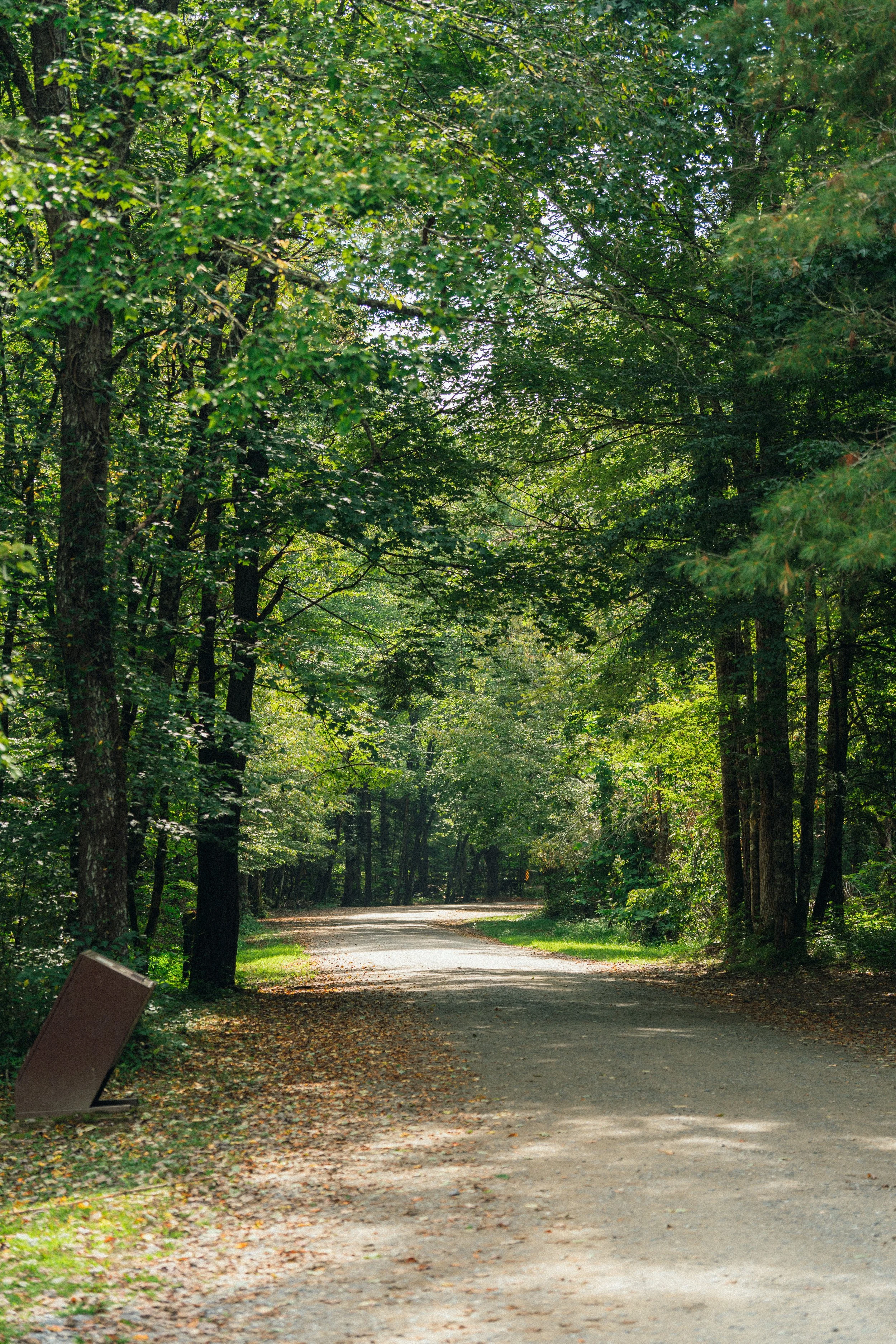 Bryson City - August 2025-72.jpg