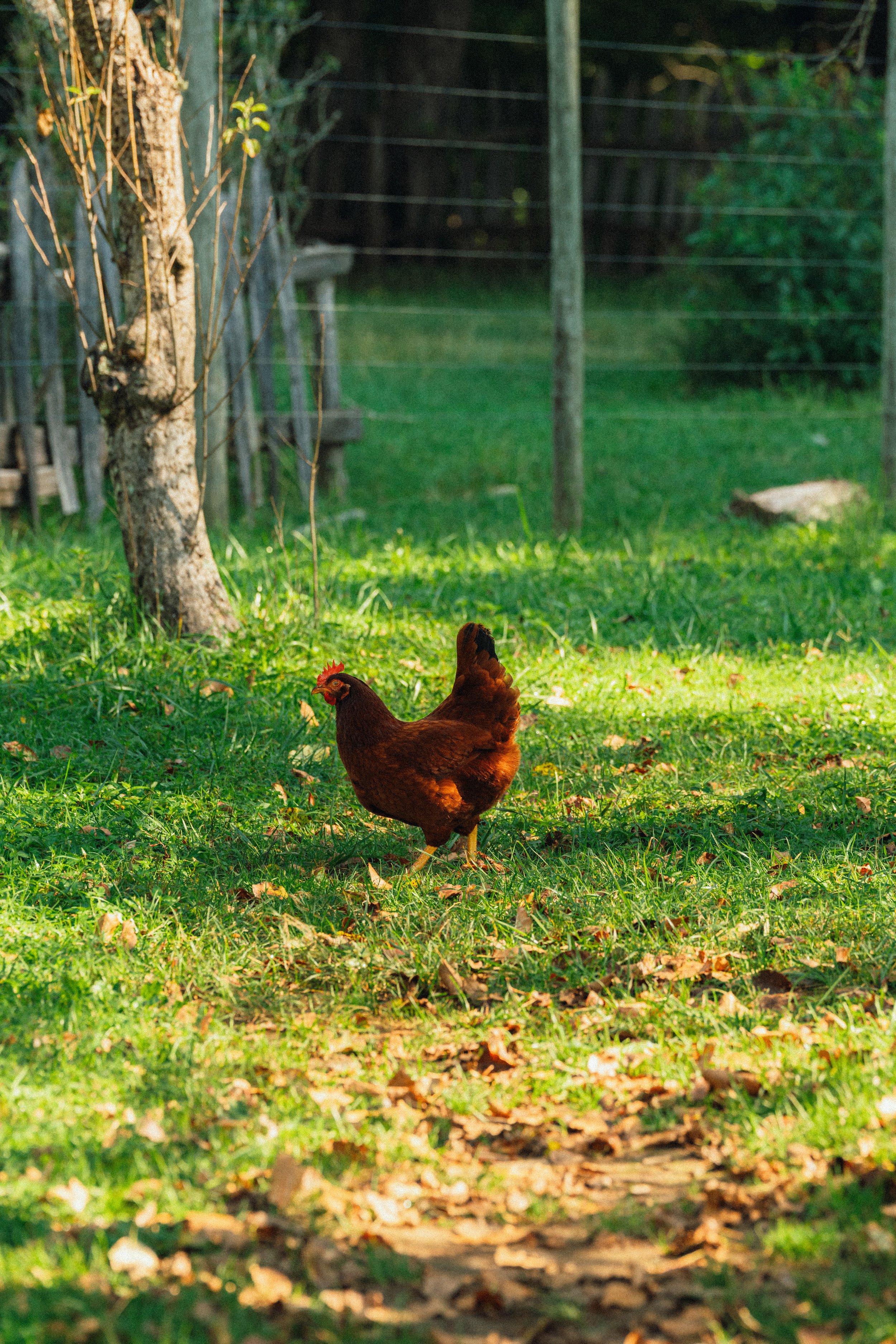 Bryson City - August 2025-75.jpg