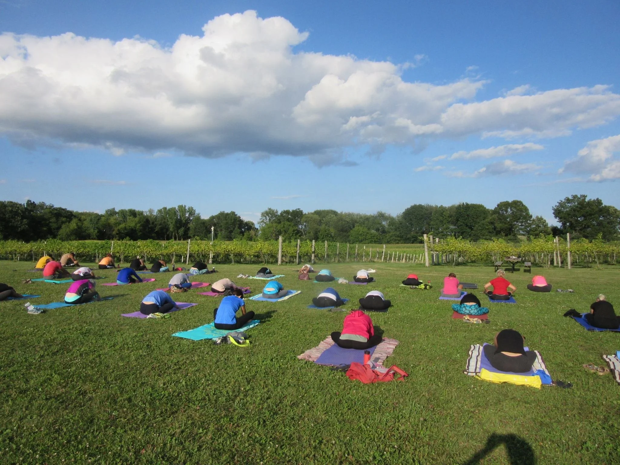 Lotus Root Yoga llc