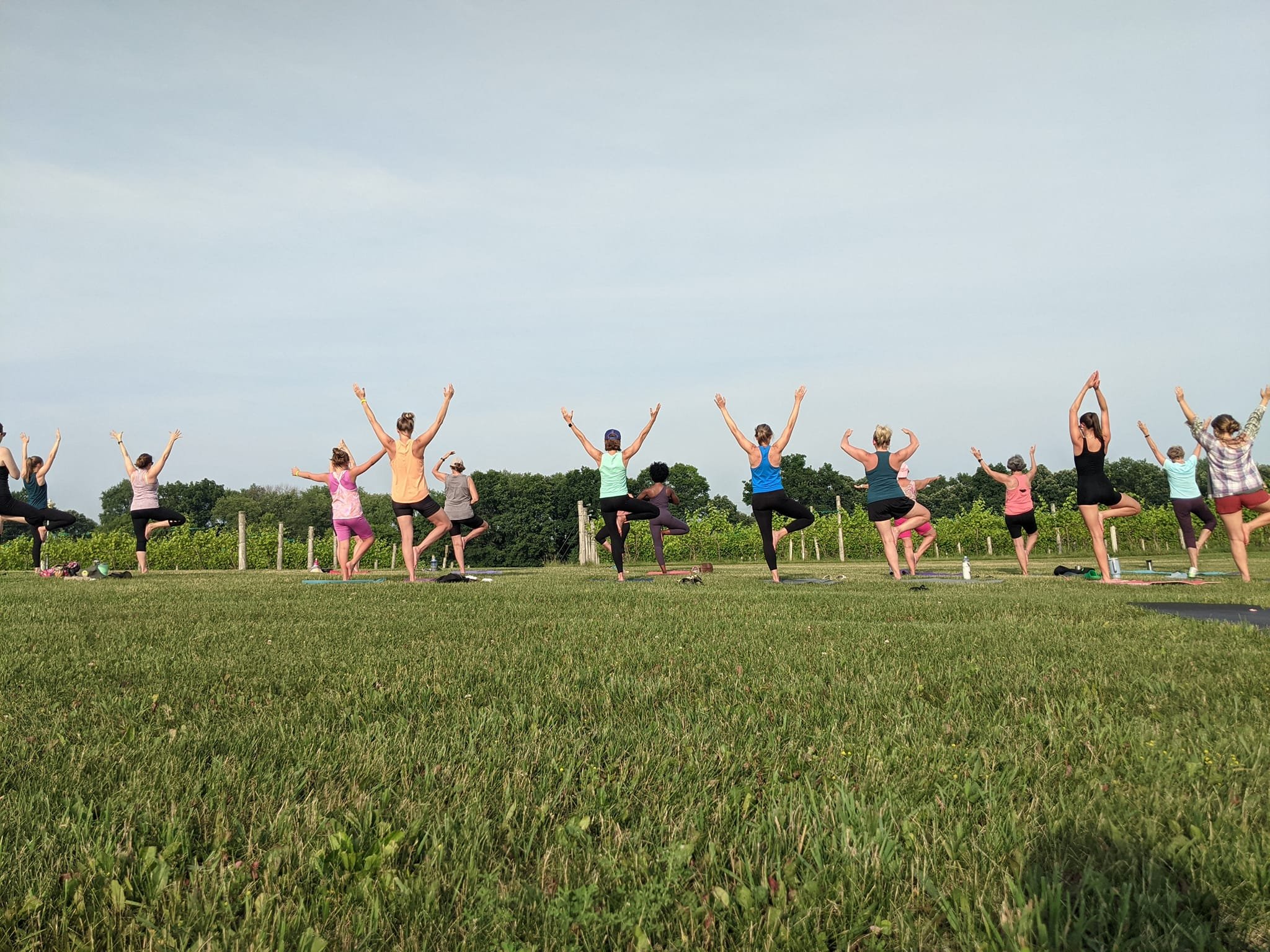 Yoga in the Vineyard