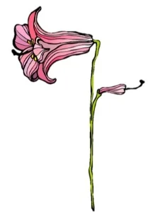 flower1.jpg