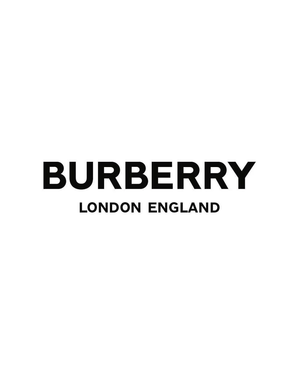 burberry logo 1.jpg