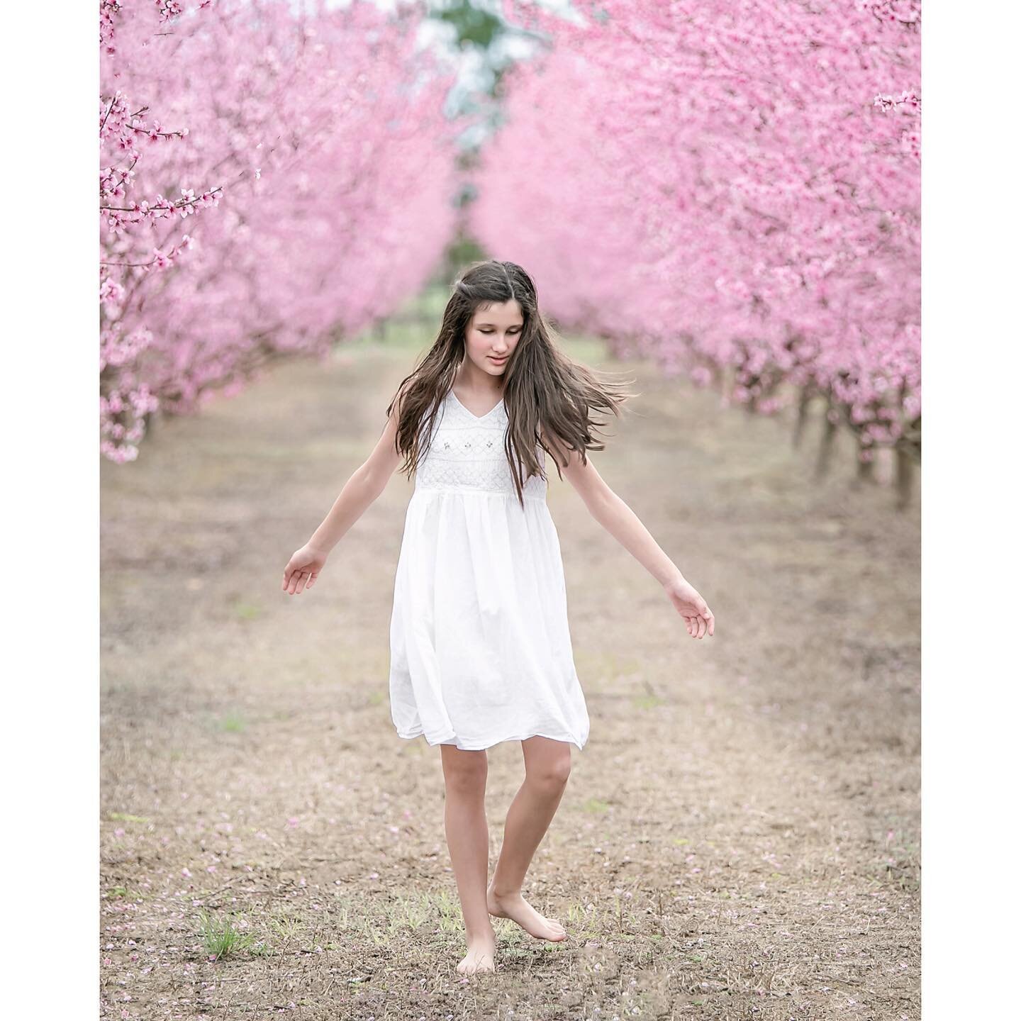 Dancing in a peach orchard amongst the blooms makes a beautiful portrait! Don&rsquo;t miss out - message me today for a Friday or Saturday session time this weekend! #peachblossoms #kimvinephotography #springportraits #tween #tweengirls