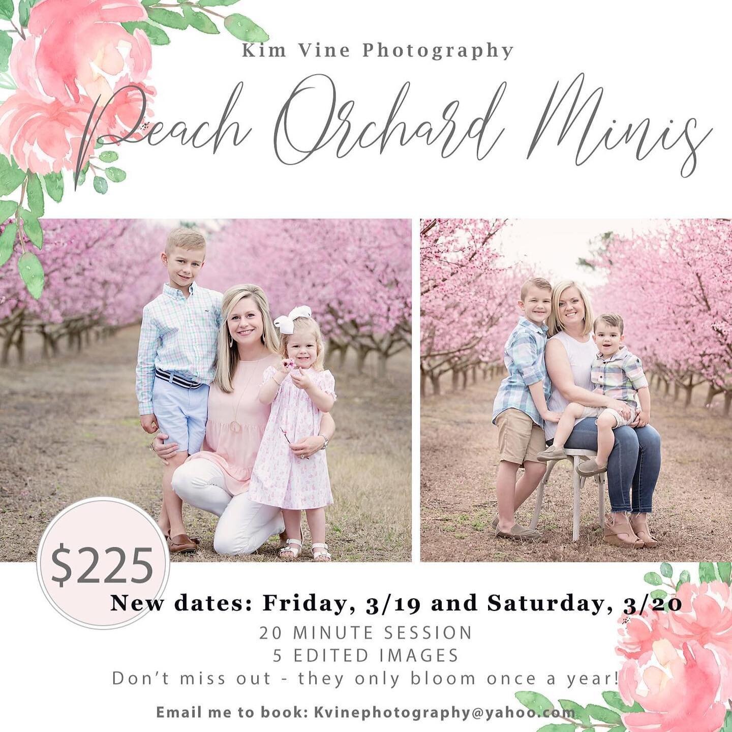 New dates!! Due to the cold temps we have been experiencing, the peach blooms have been delayed. I&rsquo;d love to have you join me! #peachblossoms #dontmissit #peachorchard #springsession #kimvinephotography
