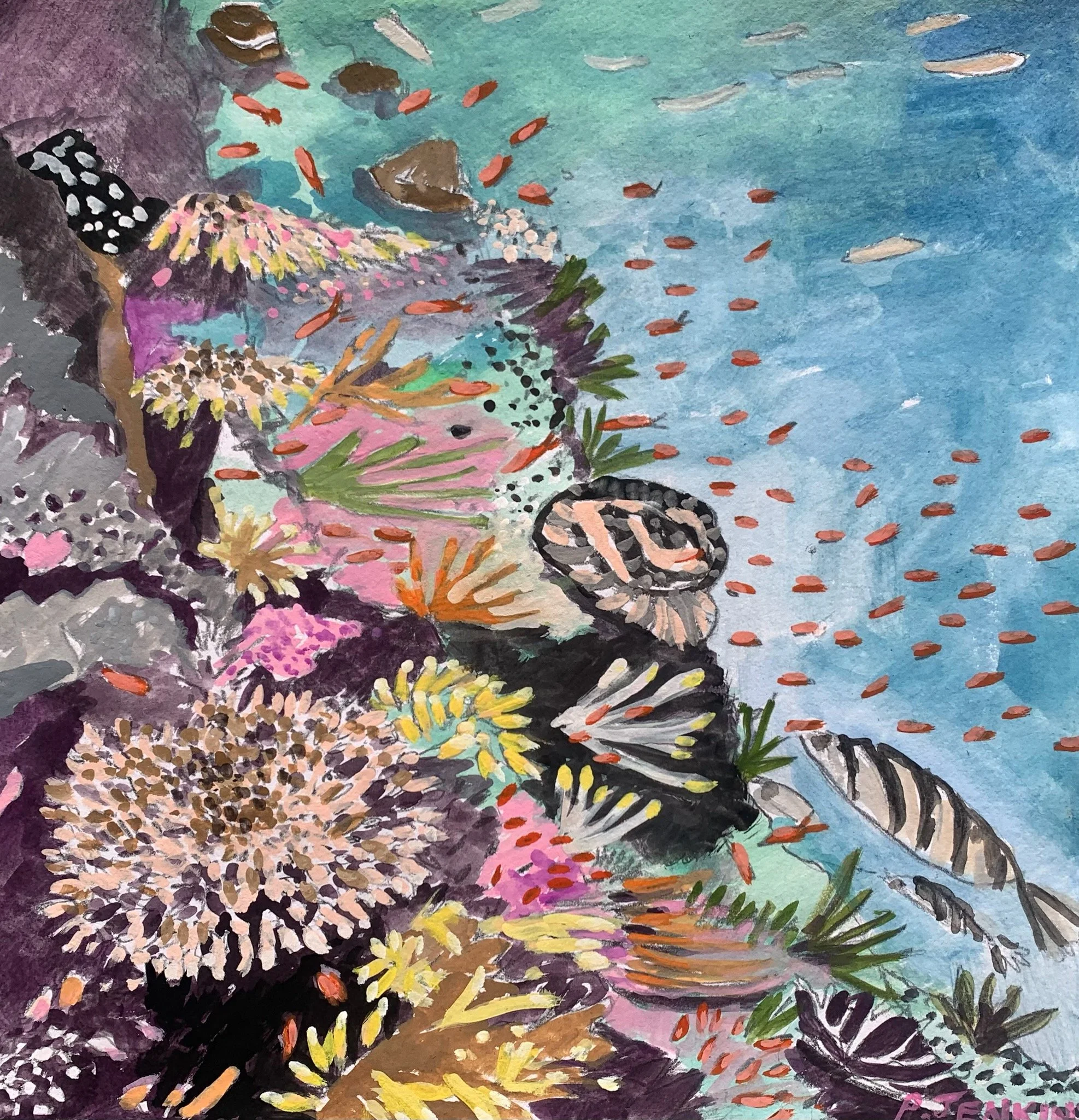 Reef II (Solomon Islands)