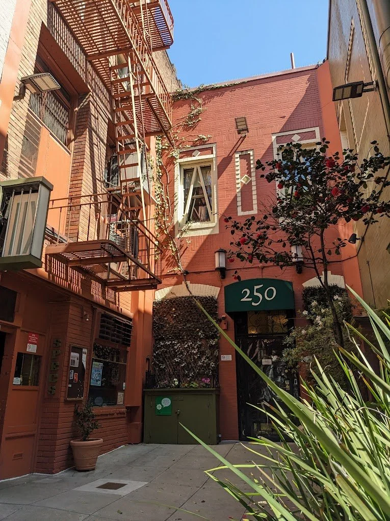 the Cottontails at Specs' Twelve Adler Museum Café (North Beach)