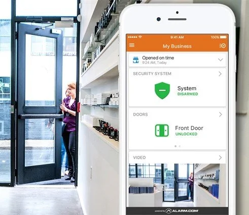 Business Security Systems