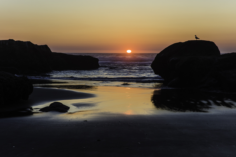 washington Beaches3.jpg