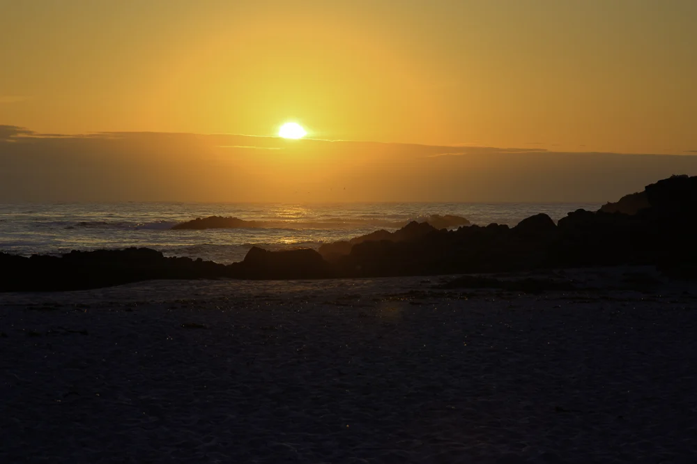 Big Sur3.jpg