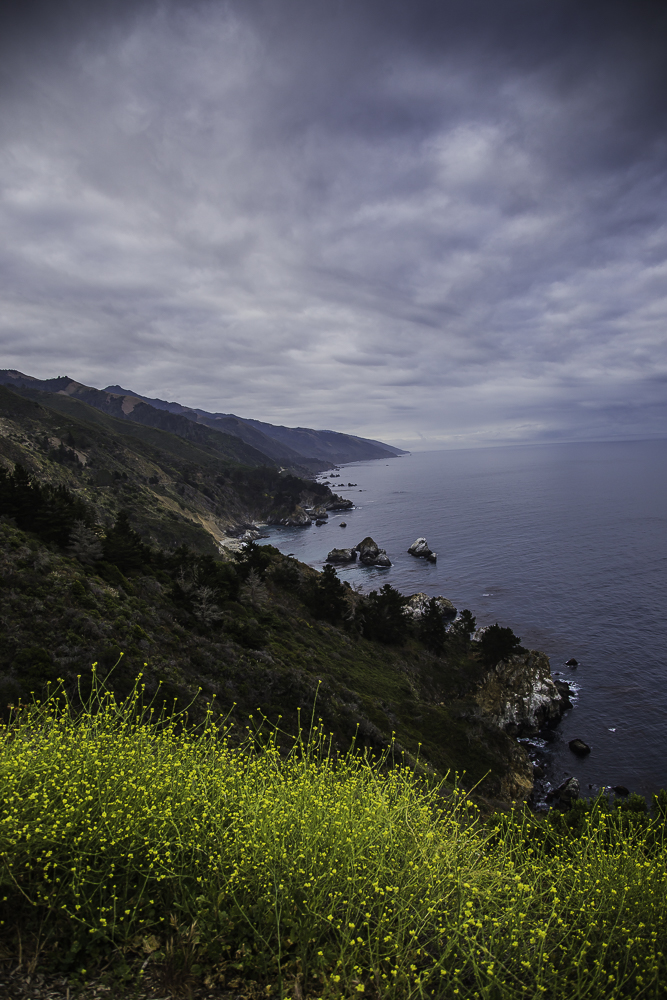 Big Sur9.jpg