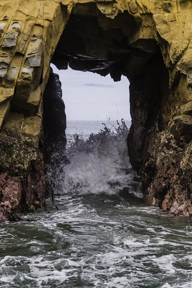 Big Sur14.jpg
