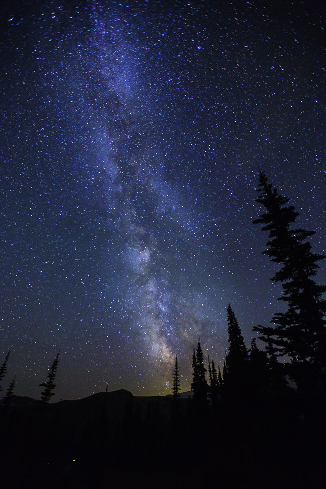 washington night sky6.jpg