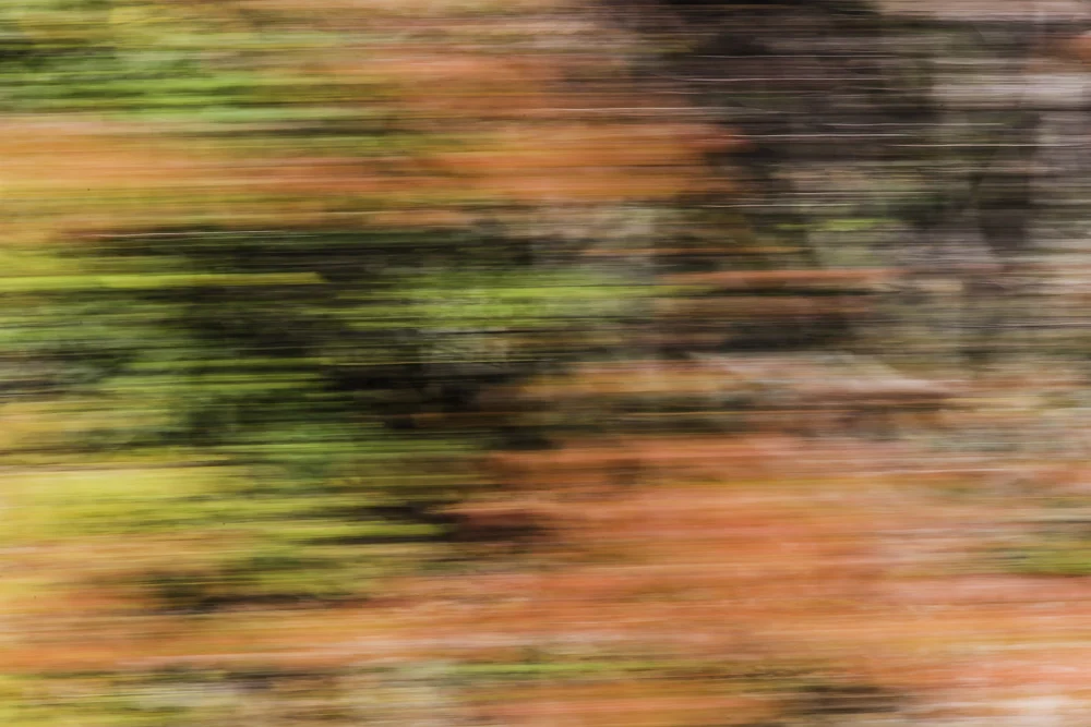 North GA Mountains10.jpg