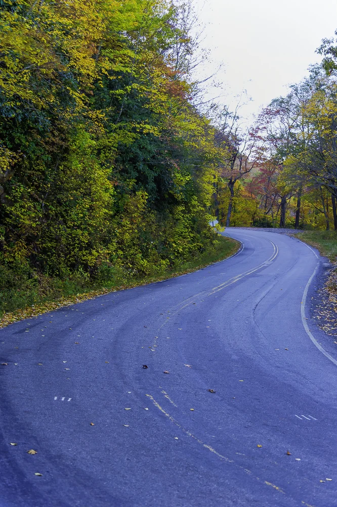 North GA Mountains12.jpg