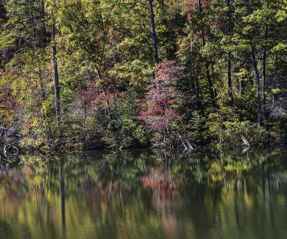 North GA Mountains18.jpg