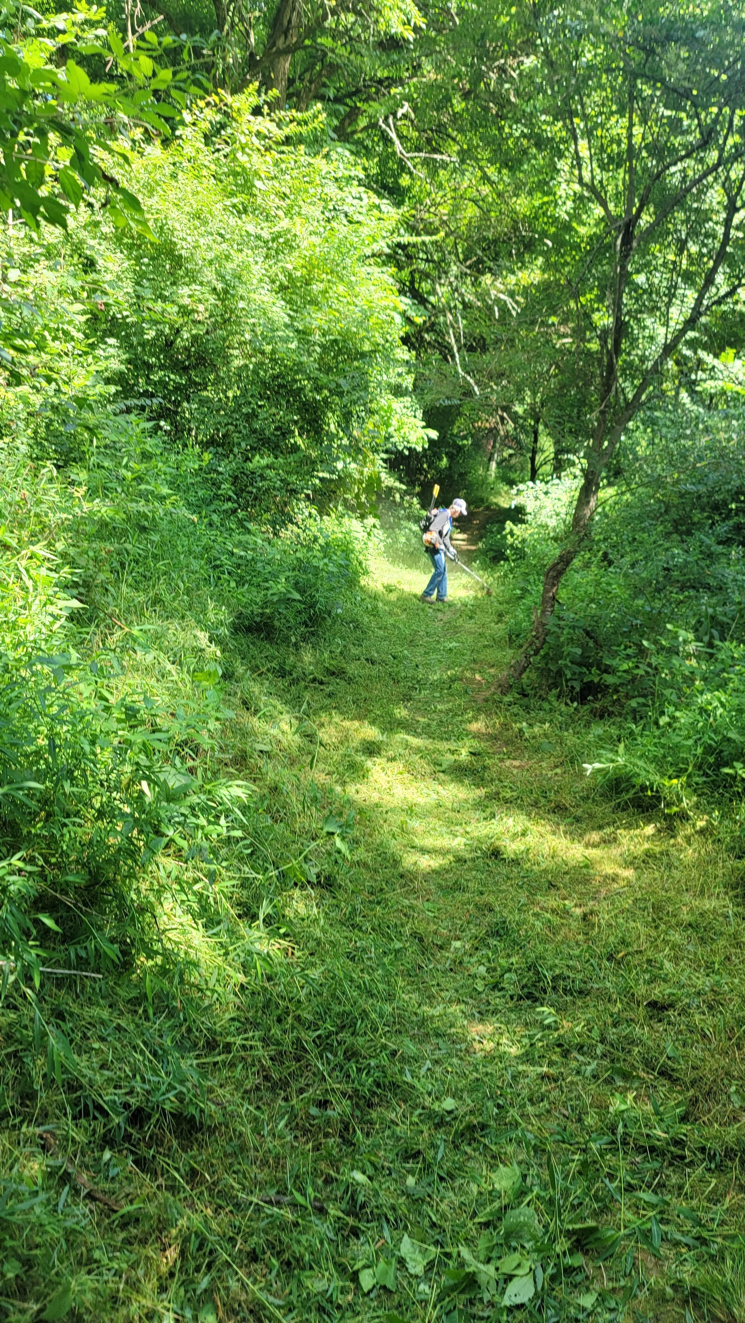 20250726_093827.jpg
