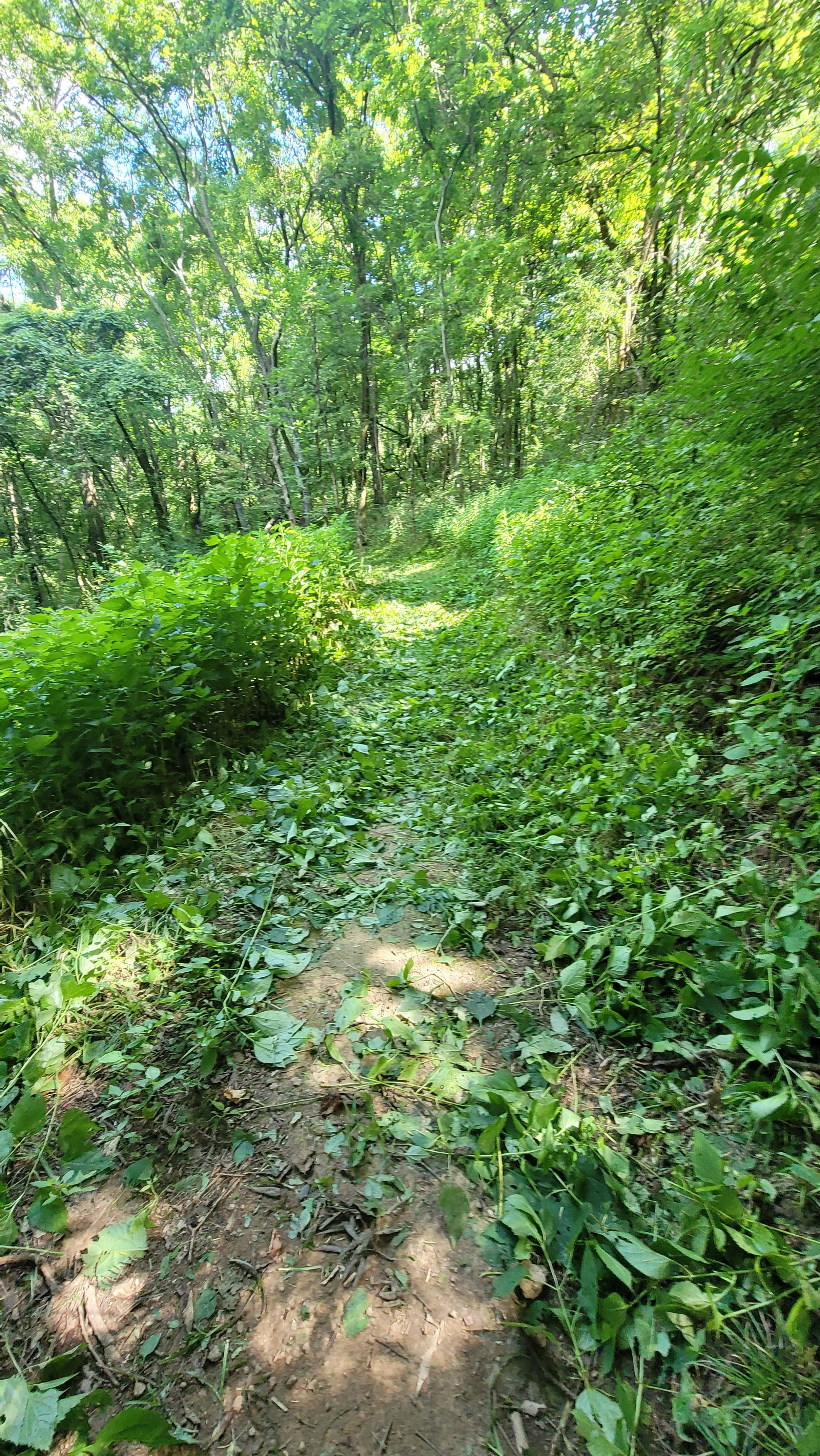 20250726_101029.jpg