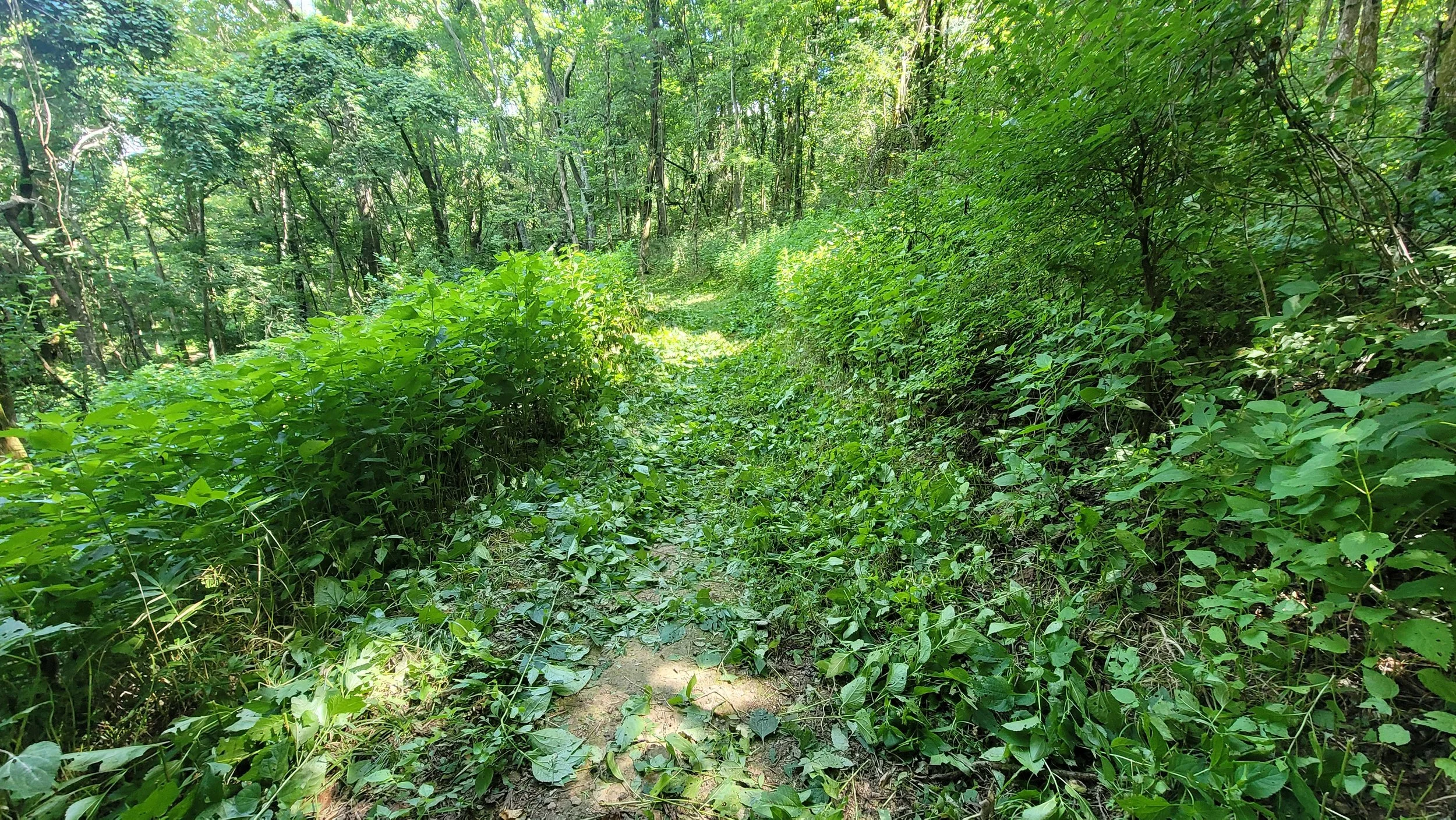 20250726_101032.jpg