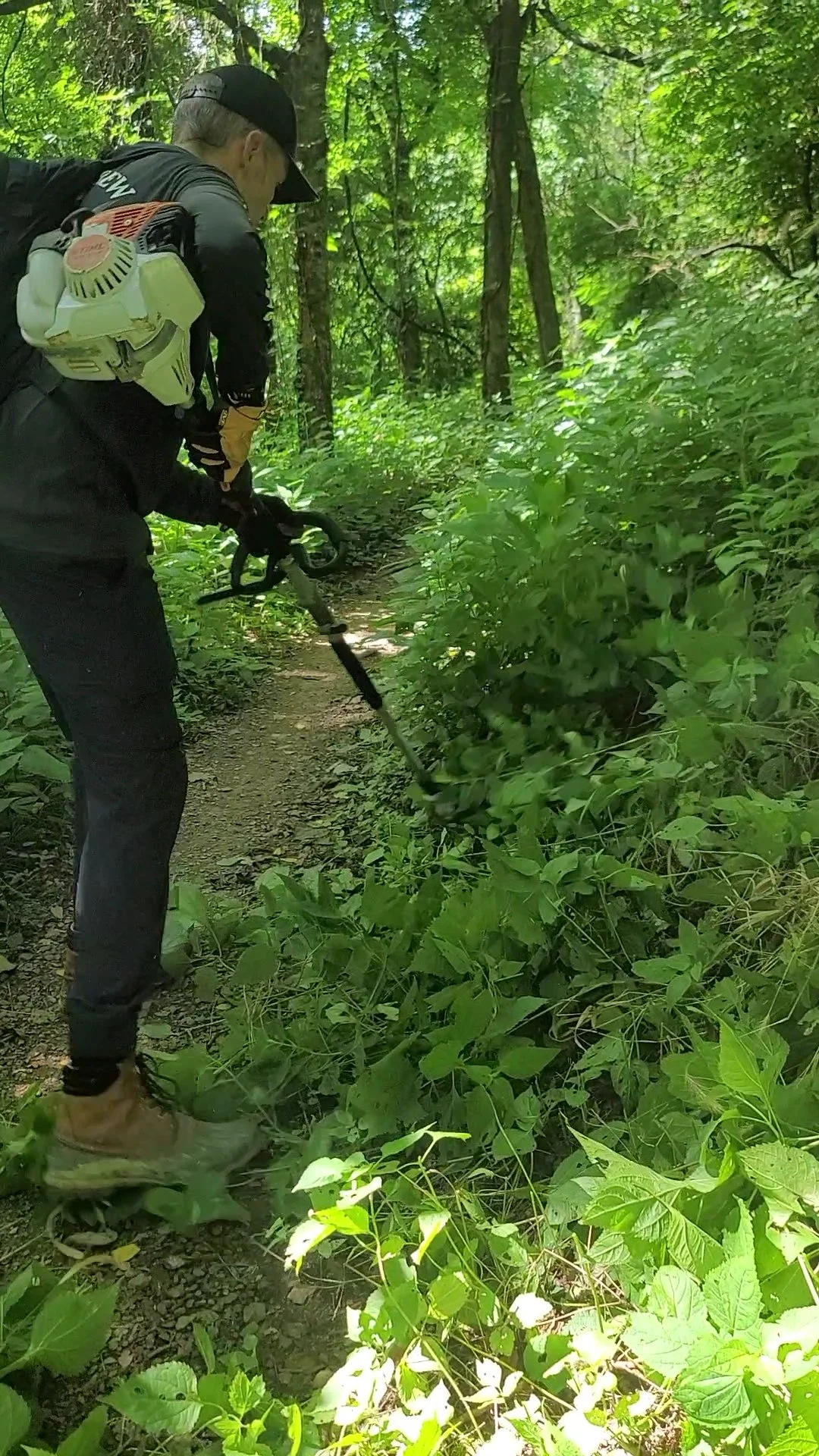 VideoCapture_20250726-184818.jpg