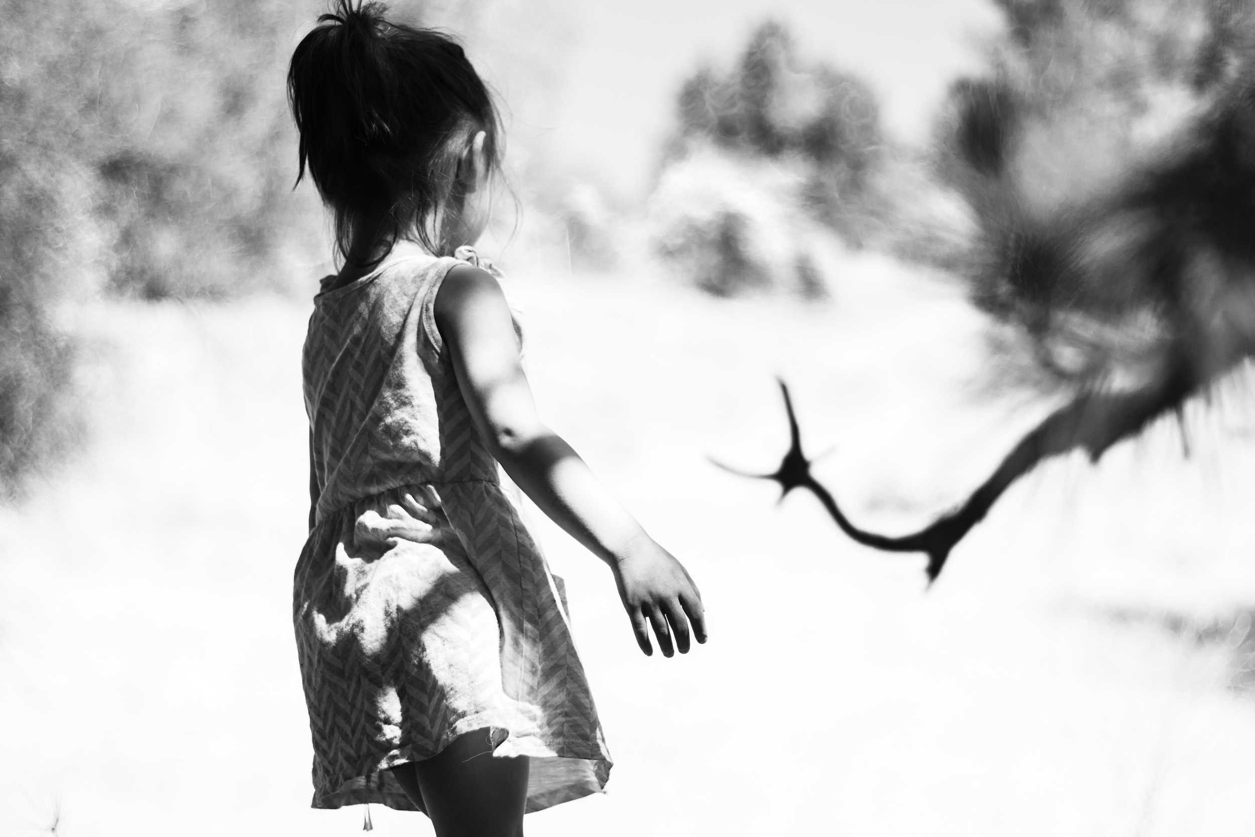 "Unless you photograph what you love, you are not going to make good art." - Sally Mann
