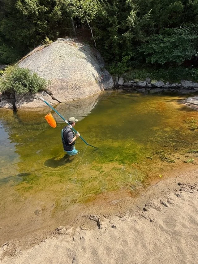 The Upper Androscoggin River Renaissance