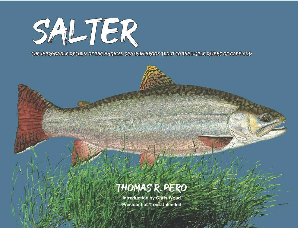 Salter Saturday Event 