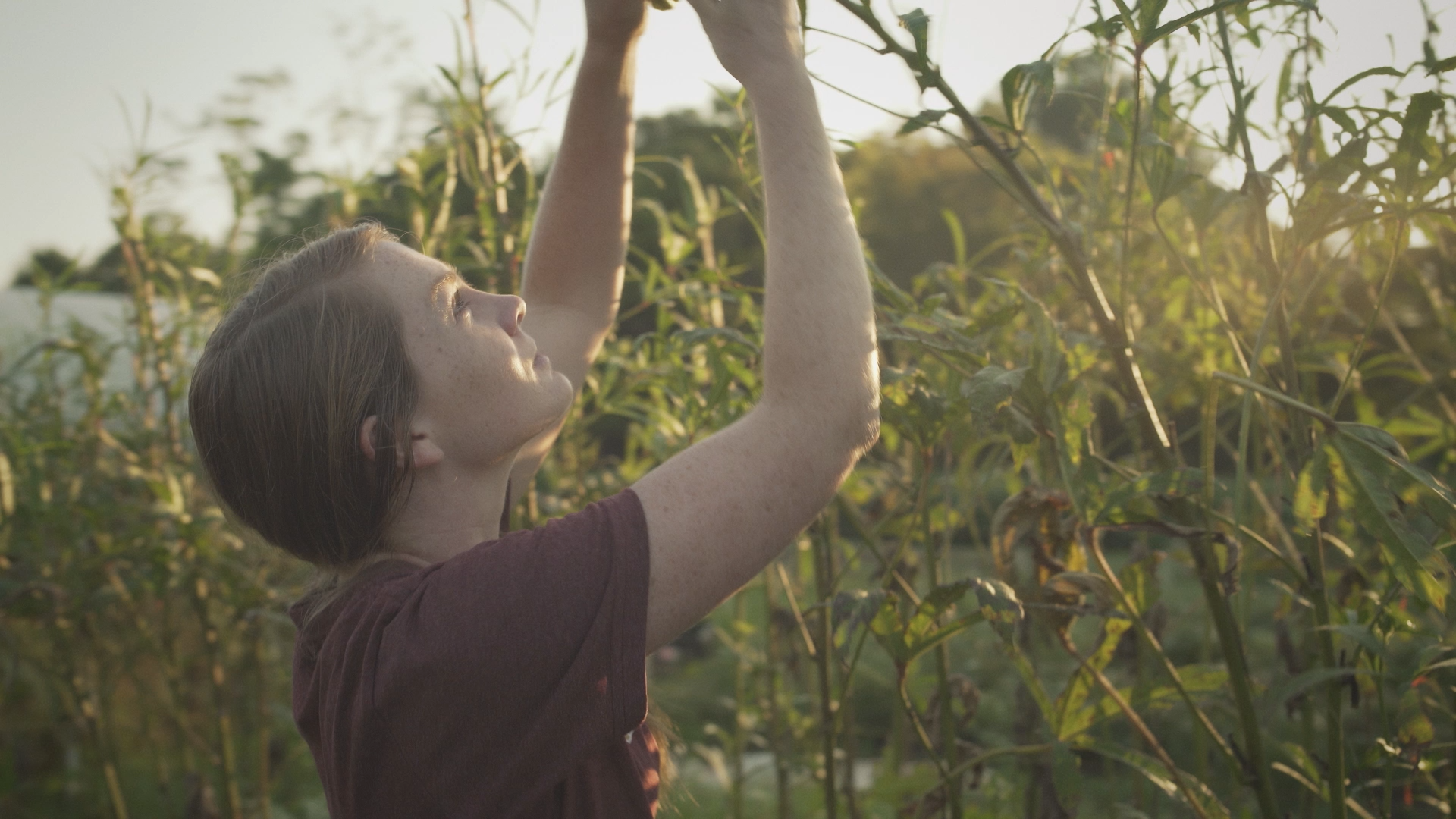 Elon_Farm_Vegetables_Campus.png