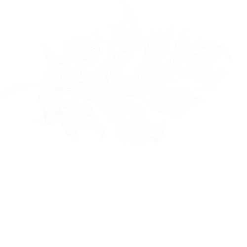 Woodwalk