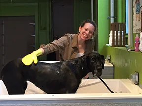 Molly LOVES lather!