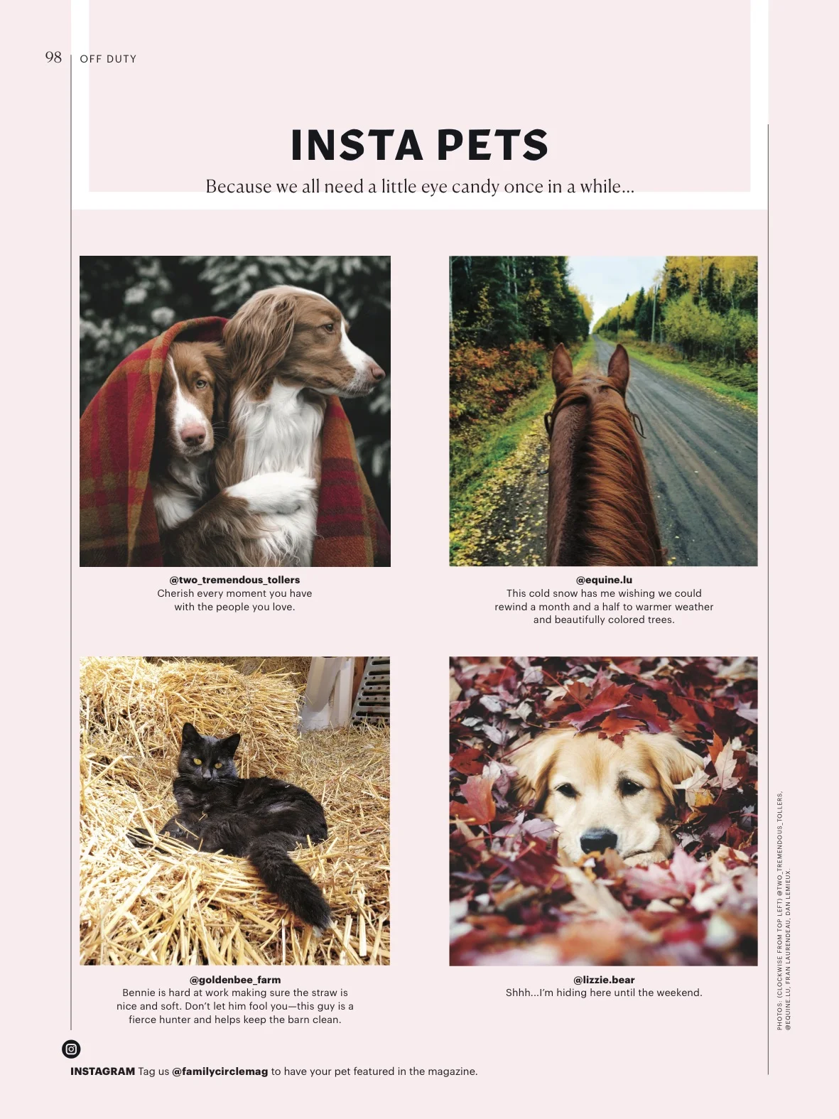 098 CIR0919 PETS.jpg