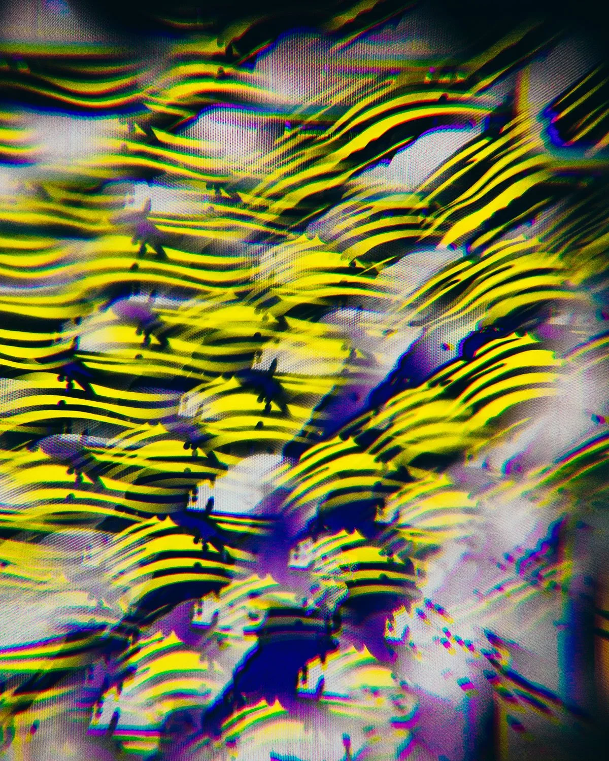 Bliss_No.20-8200.jpg