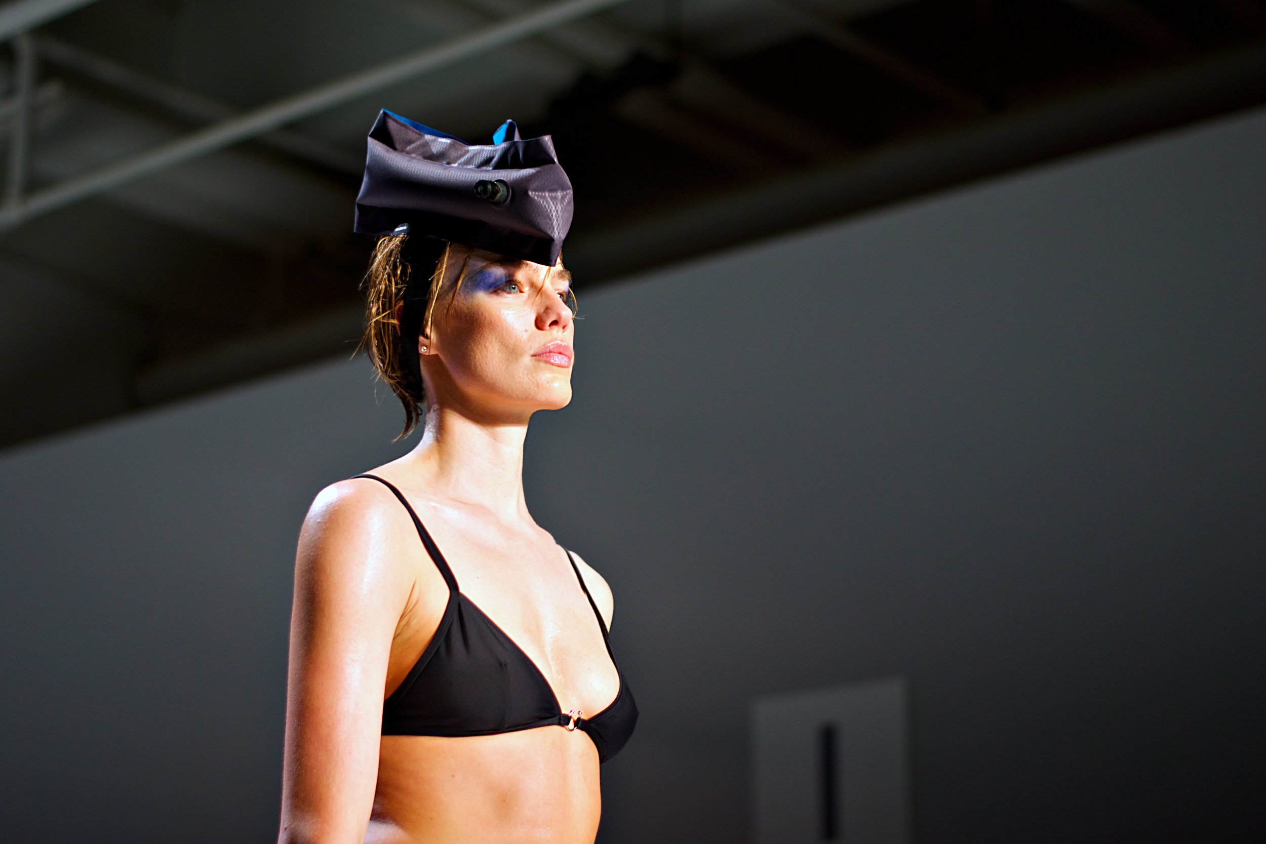 chromat19.jpg