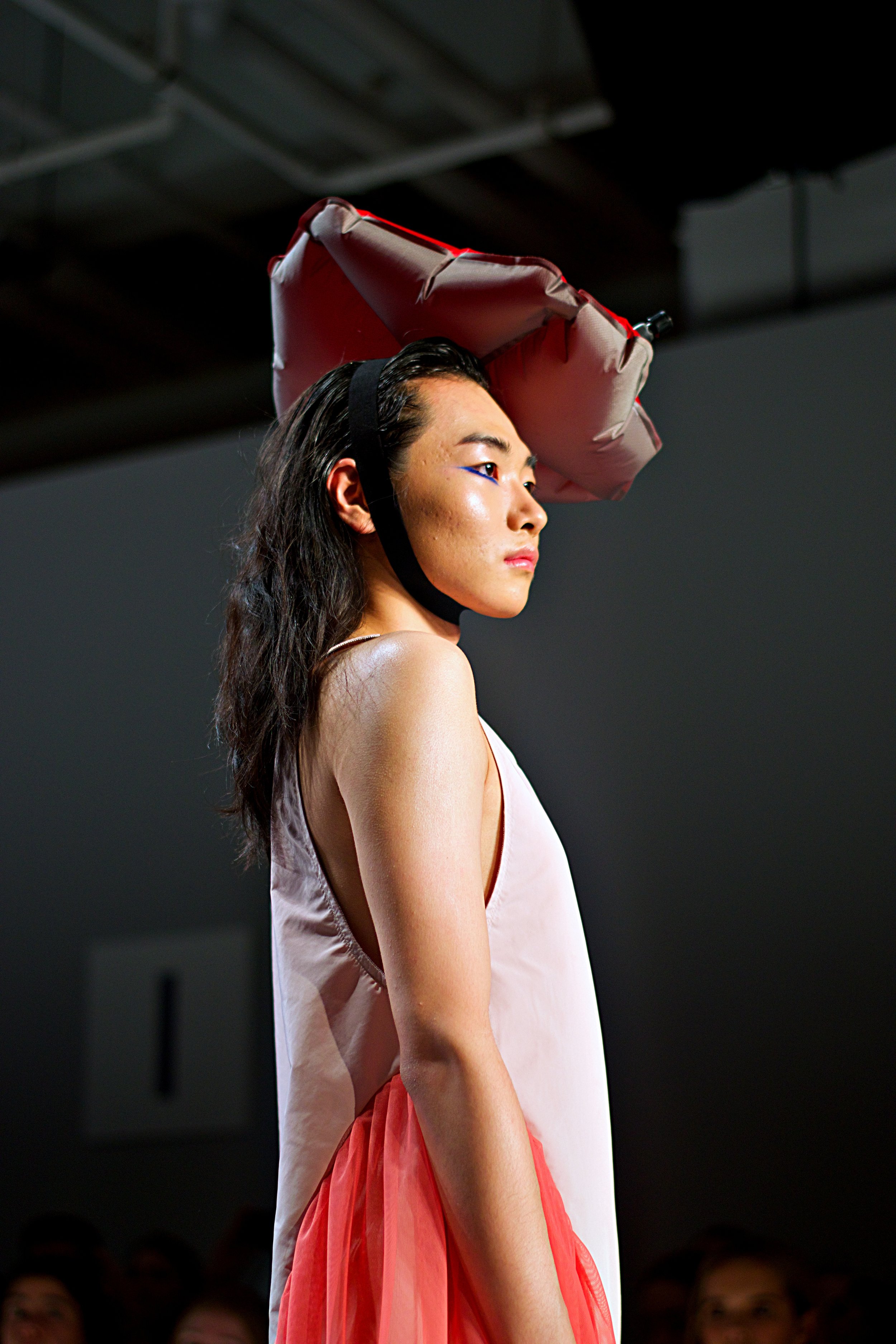 chromat21.jpg