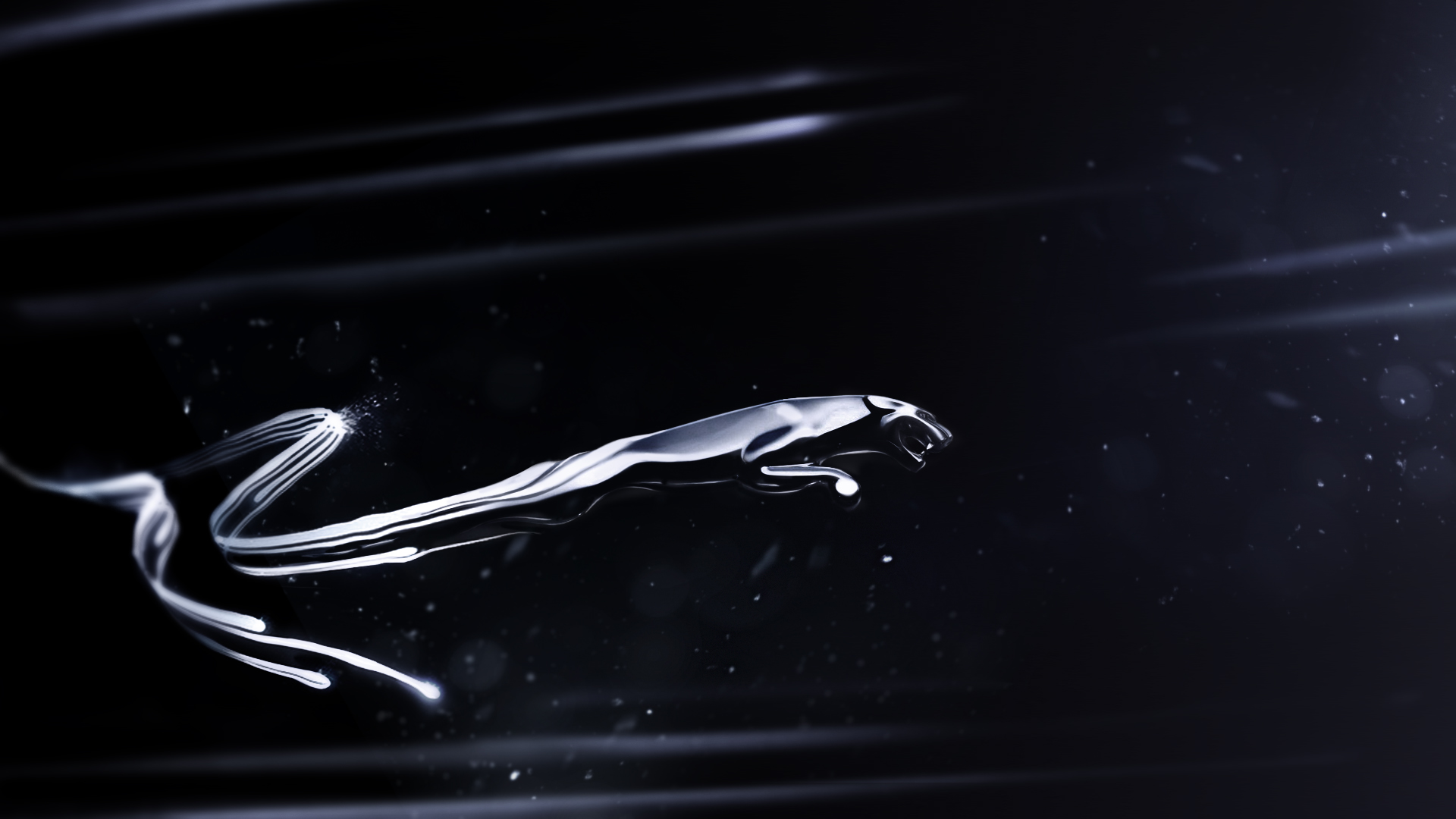 Jaguar_light_01_JK.jpg