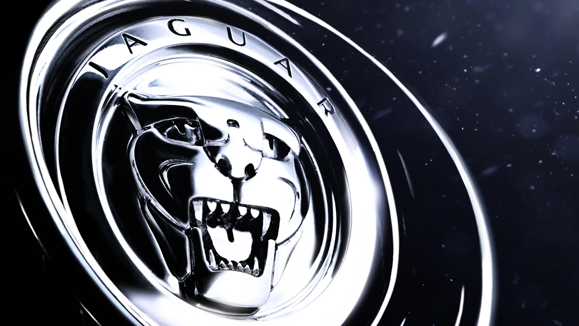 Jaguar_light_02_JK.jpg