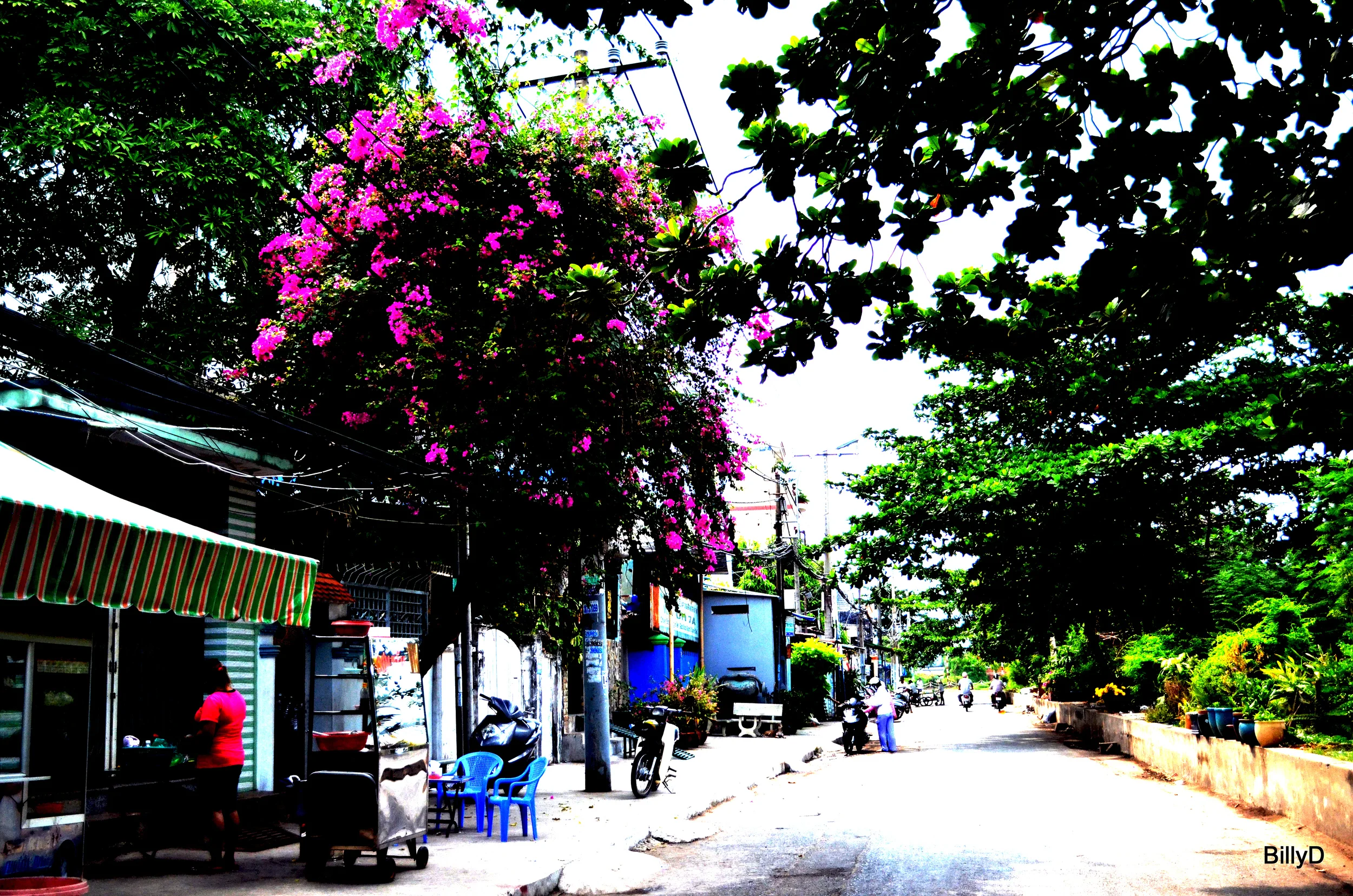 DSC_0057_edited.jpg