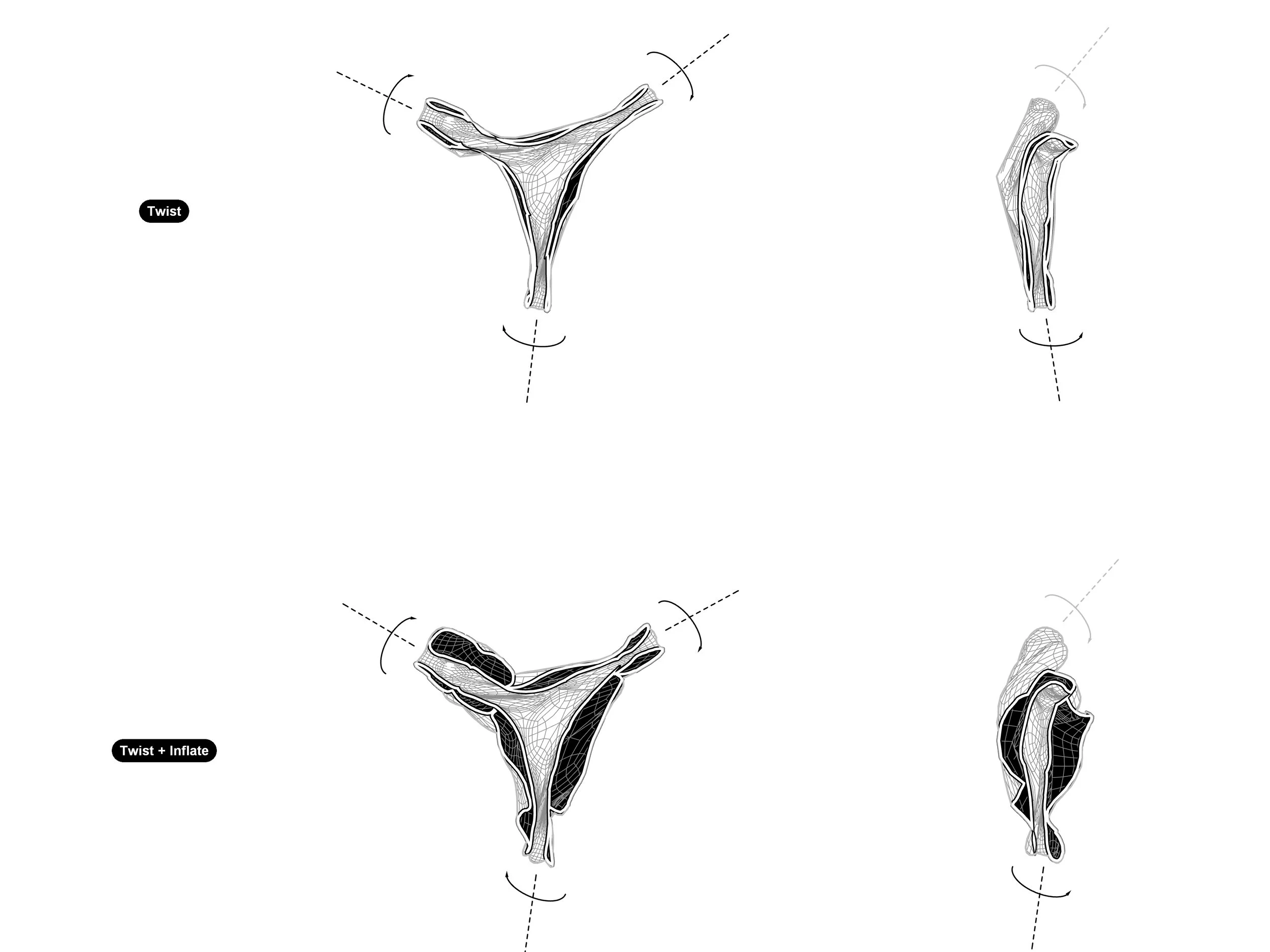Twist Diagram.jpg