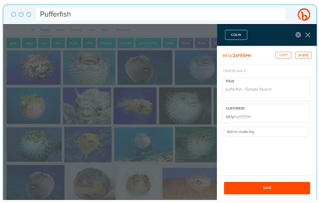 Bitly