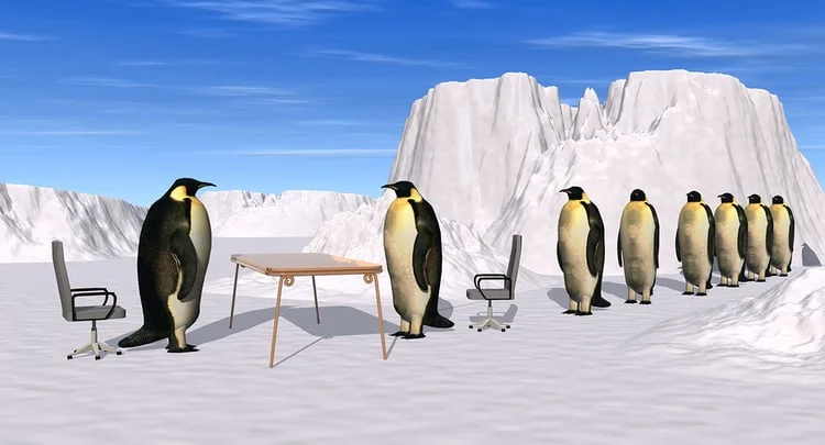 Tell Me About Yourself