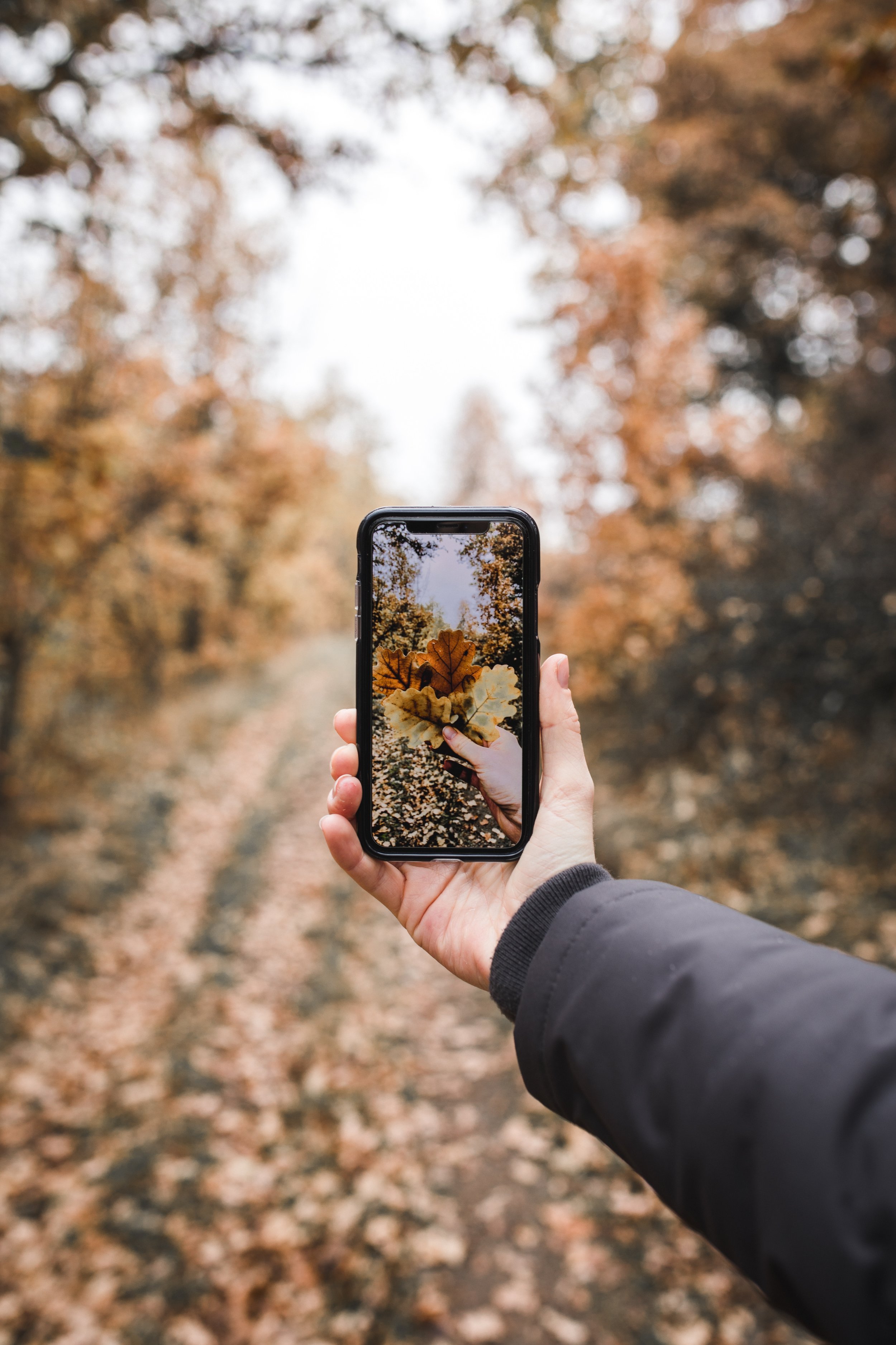 Photo via Grant Ritchie on Unsplash